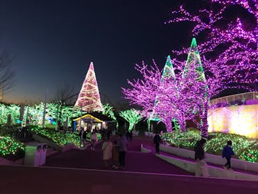 よみうりランド 遊園地に投稿された画像（2020/12/20）