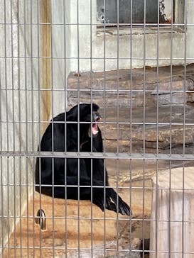 天王寺動物園に投稿された画像（2020/12/20）