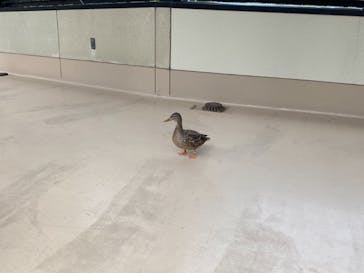 天王寺動物園に投稿された画像（2020/12/20）