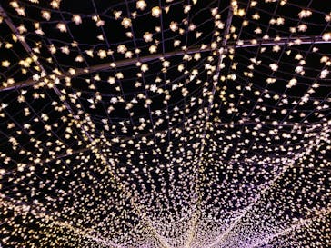 東京メガイルミに投稿された画像（2020/12/20）