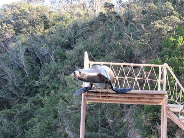 下田海中水族館に投稿された画像（2020/12/20）