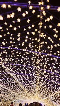 東京メガイルミに投稿された画像（2020/12/20）