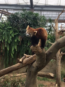 神戸どうぶつ王国に投稿された画像（2020/12/20）