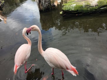 神戸どうぶつ王国に投稿された画像（2020/12/20）