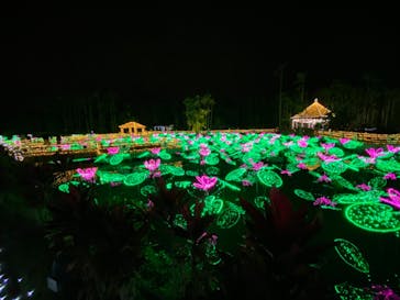 美らヤシパークオキナワ・東南植物楽園に投稿された画像（2020/12/20）