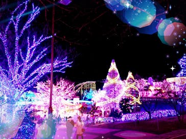 よみうりランド 遊園地に投稿された画像（2020/12/20）