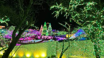 よみうりランド 遊園地に投稿された画像（2020/12/20）