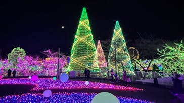よみうりランド 遊園地に投稿された画像（2020/12/20）