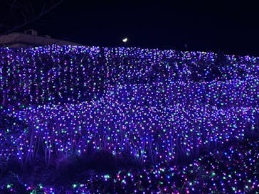 よみうりランド 遊園地に投稿された画像（2020/12/20）