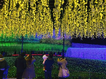 なばなの里に投稿された画像（2020/12/20）