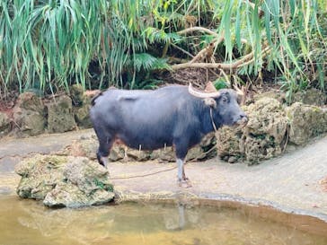 ビオスの丘に投稿された画像（2020/12/20）