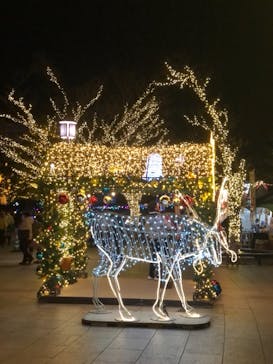 安城産業文化公園デンパークに投稿された画像（2020/12/20）