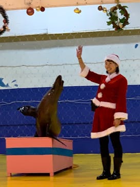 ゼロ距離水族館 伊勢シーパラダイスに投稿された画像（2020/12/20）