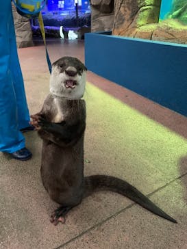 ゼロ距離水族館 伊勢シーパラダイスに投稿された画像（2020/12/20）