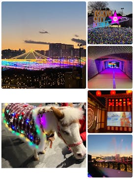 東京メガイルミに投稿された画像（2020/12/20）