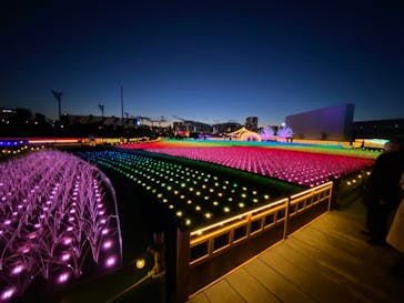 東京メガイルミに投稿された画像（2020/12/20）