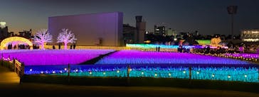 東京メガイルミに投稿された画像（2020/12/20）