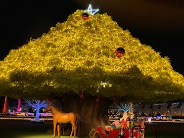 東京メガイルミに投稿された画像（2020/12/20）