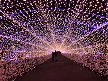 東京メガイルミに投稿された画像（2020/12/20）