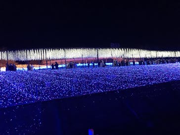 なばなの里に投稿された画像（2020/12/20）