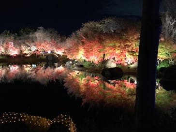 なばなの里に投稿された画像（2020/12/20）