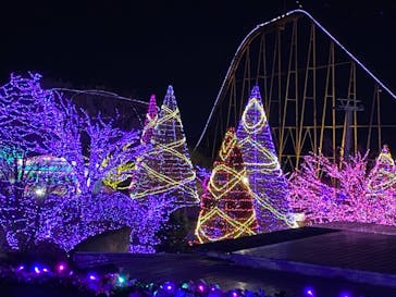 よみうりランド 遊園地に投稿された画像（2020/12/20）