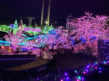 よみうりランド 遊園地に投稿された画像（2020/12/20）