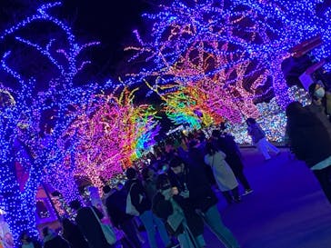 よみうりランド 遊園地に投稿された画像（2020/12/20）