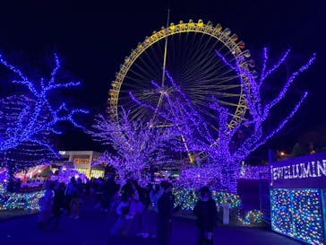 よみうりランド 遊園地に投稿された画像（2020/12/20）