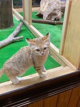 那須どうぶつ王国に投稿された画像（2020/12/20）