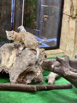 那須どうぶつ王国に投稿された画像（2020/12/20）