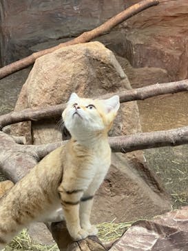 那須どうぶつ王国に投稿された画像（2020/12/20）