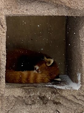 那須どうぶつ王国に投稿された画像（2020/12/20）