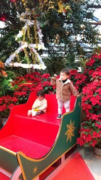 神戸どうぶつ王国に投稿された画像（2020/12/20）