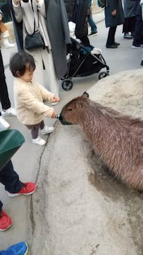 神戸どうぶつ王国に投稿された画像（2020/12/20）