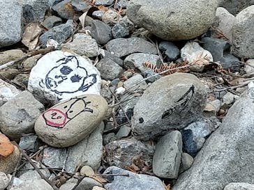 SGSに投稿された画像（2020/12/20）