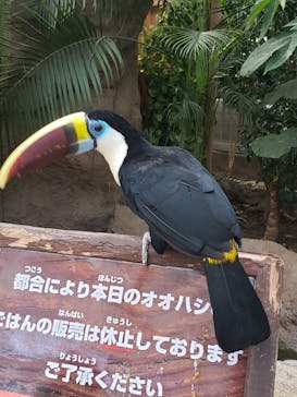 神戸どうぶつ王国に投稿された画像（2020/12/20）