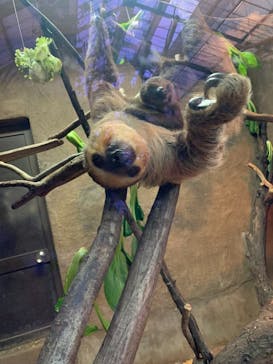 神戸どうぶつ王国に投稿された画像（2020/12/20）