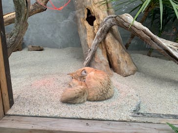 神戸どうぶつ王国に投稿された画像（2020/12/20）