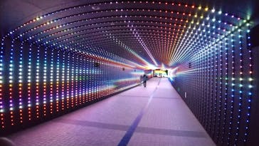 東京メガイルミに投稿された画像（2020/12/20）