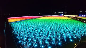 東京メガイルミに投稿された画像（2020/12/20）