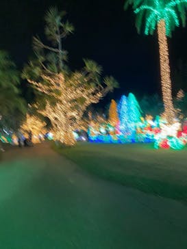 美らヤシパークオキナワ・東南植物楽園に投稿された画像（2020/12/20）