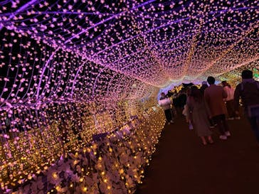 東京メガイルミに投稿された画像（2020/12/21）