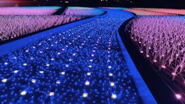 東京メガイルミに投稿された画像（2020/12/21）