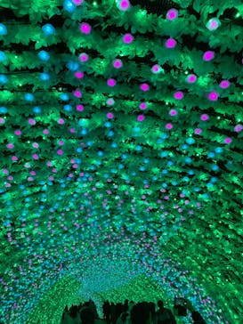 なばなの里に投稿された画像（2020/12/21）