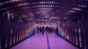 東京メガイルミに投稿された画像（2020/12/21）