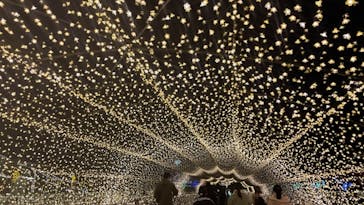 東京メガイルミに投稿された画像（2020/12/21）