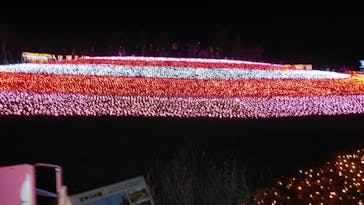 東武動物公園に投稿された画像（2020/12/21）