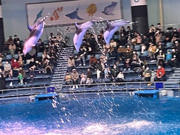 マクセル アクアパーク品川に投稿された画像（2020/12/21）