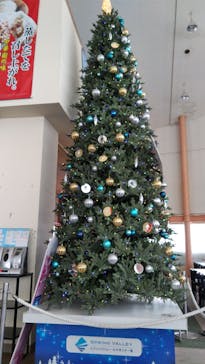 スプリングバレー仙台泉スキー場に投稿された画像（2020/12/21）